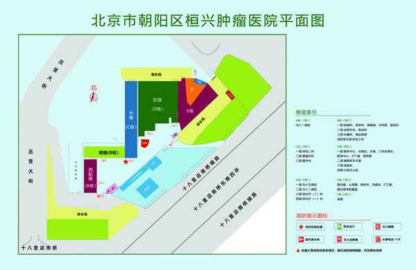 播放性感的三级操逼视频北京市朝阳区桓兴肿瘤医院平面图